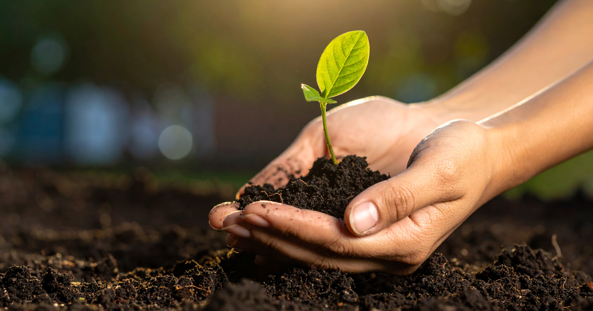 Väck trädgården i april genom att plantera och gödsla rätt
